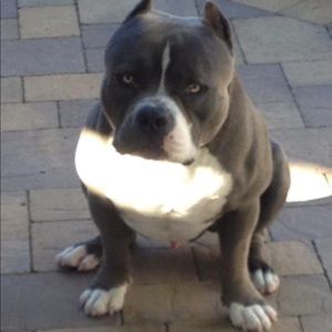 Meet your Posher, Brandon